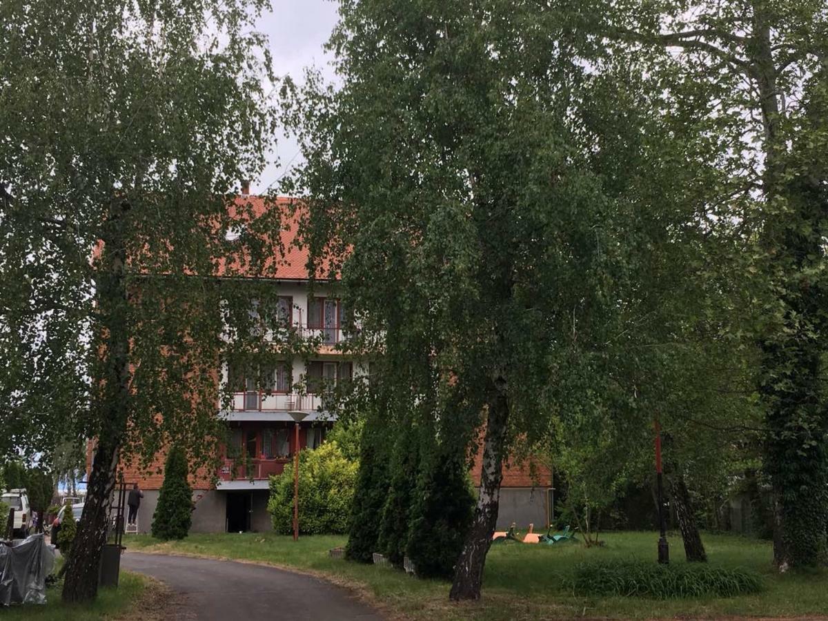 Balatoni Retro Villa バラトンフェニヴェシュ エクステリア 写真